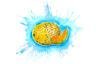 Cantaloupe in Watercolor Paint Splatter Style