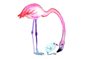 Mom and Baby Flamingos in Watercolor Style