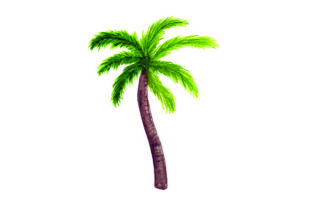 Palm Tree - Watercolor for Summer Campaigns