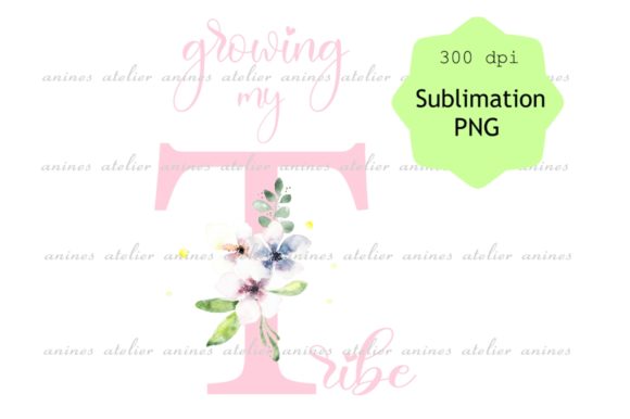 Pink Pregnancy Reveal PNG